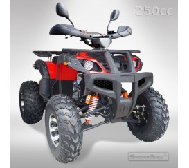ATV BS250cc 10